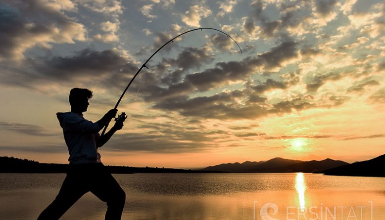 Hayatımızda Hedefler Önemli midir, Peter Salvatore, Sualtı Dünyam, Hayat hedeflerimiz, hayatımda hedeflerin önemi