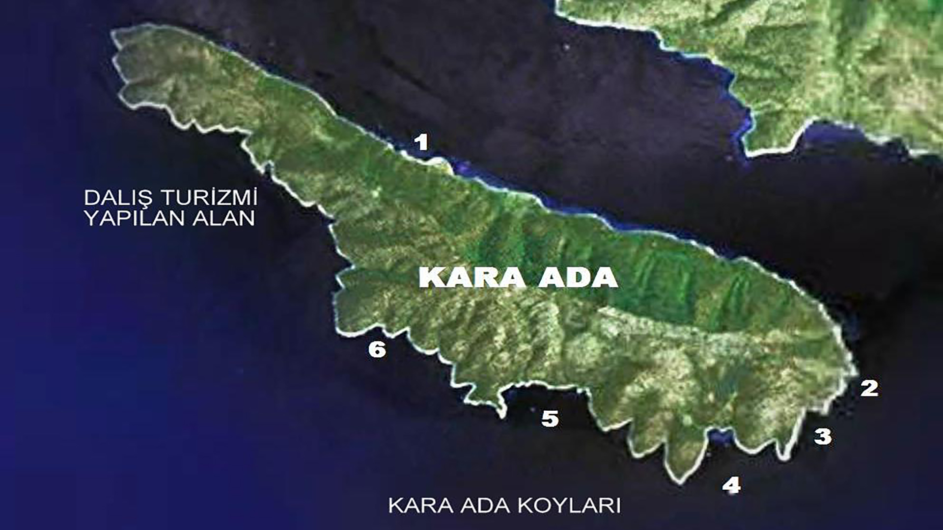 Karaada Projesi, Peter Salvatore, sualtı Dünyam, Sualtı gazetesi, Milliyet Tatil, My Underwater World, Karaada Depremi, Bodrum Karaada Depremi, Deprem Çalışmaları