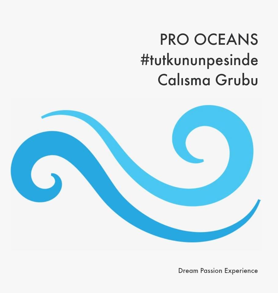 Pro Oceans, Pro oceans çalışma manifestosu, Pro ocean aktivitekeri, Peter Salvatore, Sualtı Dünyam, SG tv, Sualtı Gazetesi