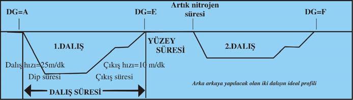 dip süresi nedir, dalışta dip süresi nedir, dip süresinin mantığı nedir