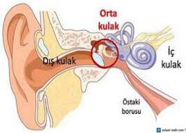 dış kuak barotravması, dış kulak nedir, dış kulak barotravmasının sebepleri