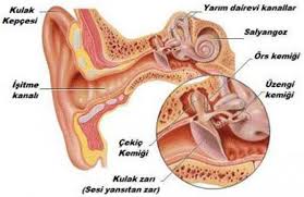 dış kulak sıkışması nedir, dalışta dış kulak sıkışması, dış kulak neden sıkışır