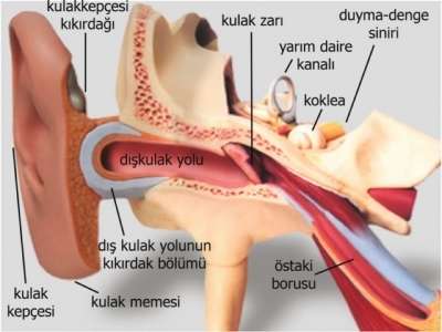 negatif yüzerlik nedir, negatif yüzerlik