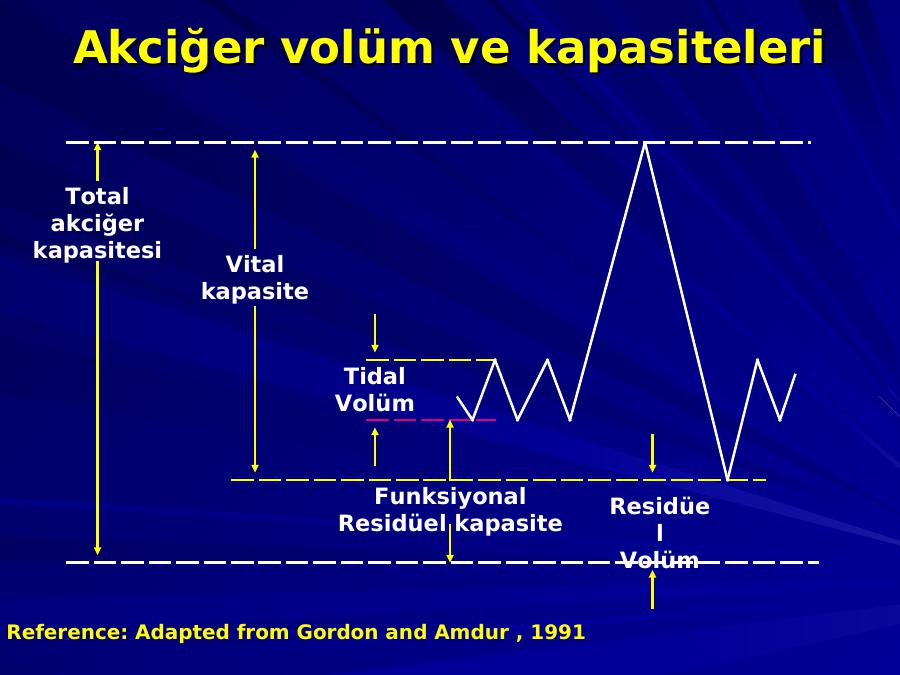 tidal kapasite nedir, tidal kapasite, tidal