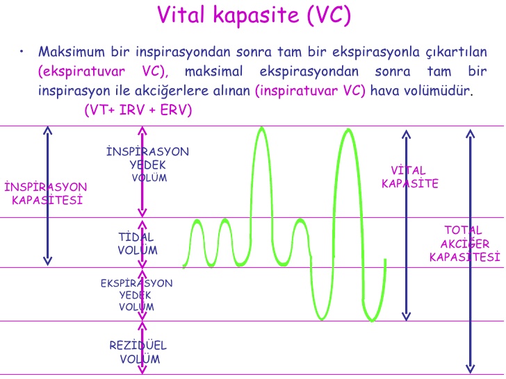 vital kapasite nedir, vital kapasite