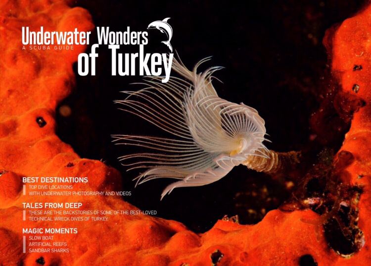 underwaters of wonders, Peter Salvatore, MAhmut suner, underwater photography. underweater video