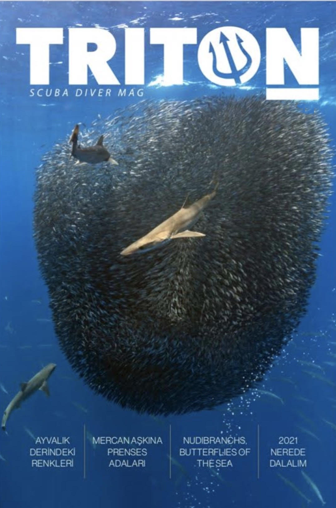 triton dergi, triton sualtı magazine, mahmut suner kimdir, engin aygün kimdir, kate jonker kimdir, triton sualtı ik sayımız