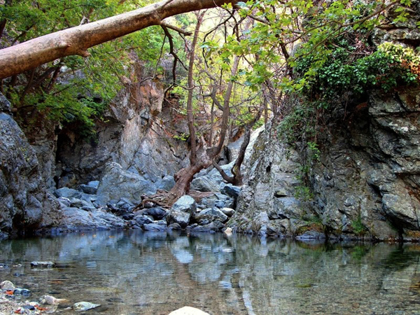 Semadirek Adası, Semadirek Adası nerededir, Semadirek PodCast yayını, Semadirek adasında dalış yapmak